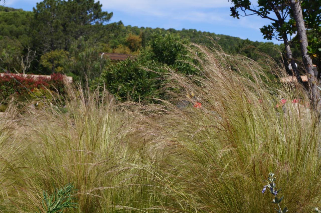 Les Jardins De Santa Giulia - Charmante Chambre D'Hote Πόρτο Βέκιο Εξωτερικό φωτογραφία