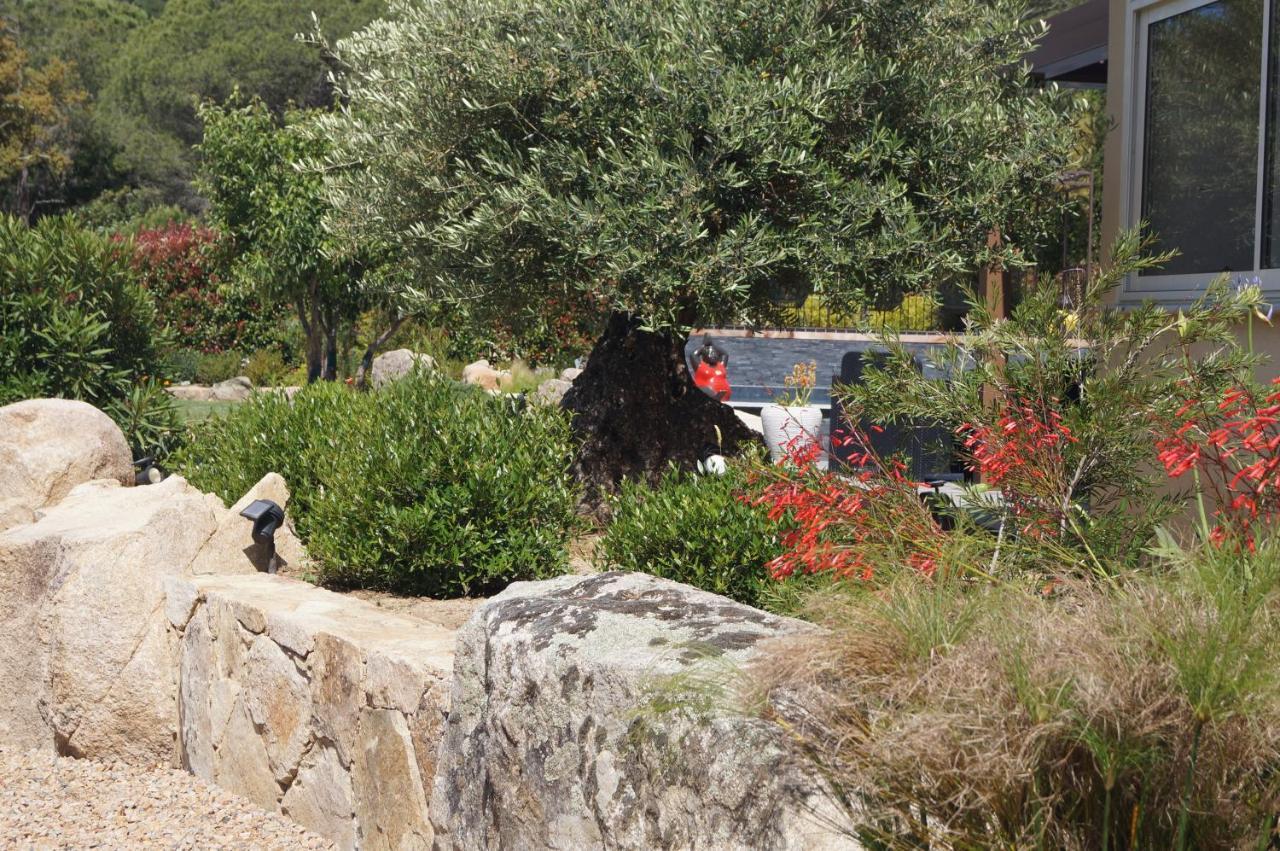 Les Jardins De Santa Giulia - Charmante Chambre D'Hote Πόρτο Βέκιο Εξωτερικό φωτογραφία